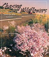 ChasingWildflowers